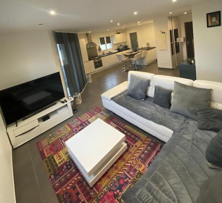 Appartement Belle Vue Sur Les Montagnes Saint-Pierre-en-Faucigny エクステリア 写真